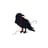 Blackbird Knitting & Needlework